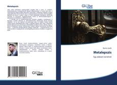 Buchcover von Metalepszis