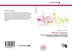 Bookcover of Míchel Salgado