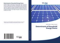 Couverture de Determinants of Household Energy Choice