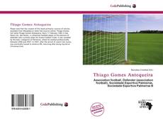 Bookcover of Thiago Gomes Antequeira