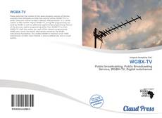 Bookcover of WGBX-TV