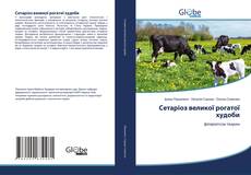 Bookcover of Сетаріоз великої рогатої худоби
