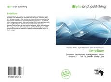 Bookcover of Entellium