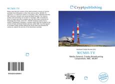 Bookcover of WCMH-TV