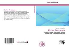 Bookcover of Carlos Bocanegra