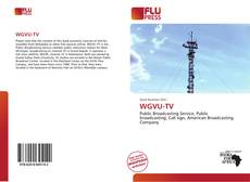 Couverture de WGVU-TV