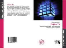 Buchcover von WGBA-TV