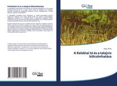 Buchcover von A Kelebiai tó és a talajvíz kölcsönhatása