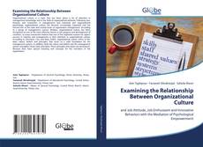 Bookcover of Examining the Relationship Between Organizational Culture