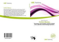 Bookcover of Callan Beasy