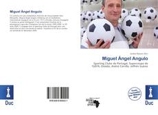 Miguel Ángel Angulo的封面