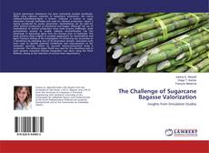 Capa do livro de The Challenge of Sugarcane Bagasse Valorization 
