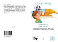 Bookcover of Zsolt Szokol