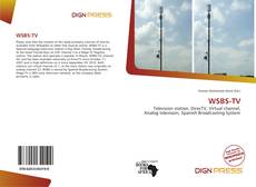 Bookcover of WSBS-TV