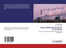 Heavy Metal Removal by Fruit Waste的封面
