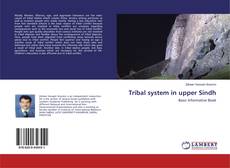 Bookcover of Tribal system in upper Sindh