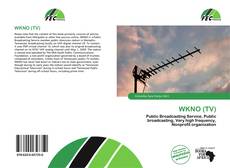 Buchcover von WKNO (TV)
