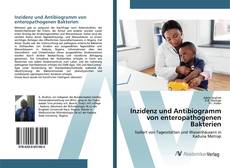 Copertina di Inzidenz und Antibiogramm von enteropathogenen Bakterien