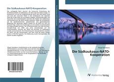 Bookcover of Die Südkaukasus-NATO-Kooperation