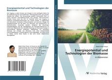 Bookcover of Energiepotential und Technologien der Biomasse