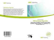 Bookcover of Sthembiso Ngcobo