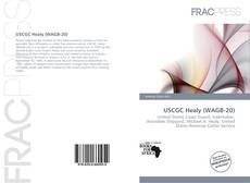 Bookcover of USCGC Healy (WAGB-20)