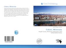 Portada del libro de Cokato, Minnesota