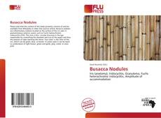 Couverture de Busacca Nodules