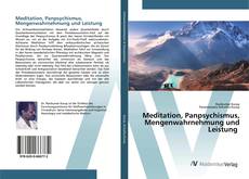 Copertina di Meditation, Panpsychismus, Mengenwahrnehmung und Leistung