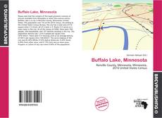 Buchcover von Buffalo Lake, Minnesota