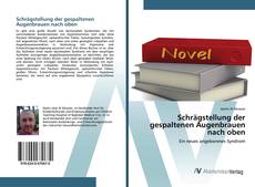 Bookcover of Schrägstellung der gespaltenen Augenbrauen nach oben