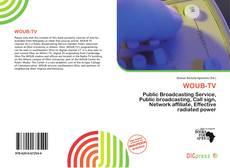 Portada del libro de WOUB-TV