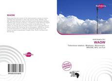 Bookcover of WAOW