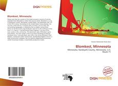 Bookcover of Blomkest, Minnesota