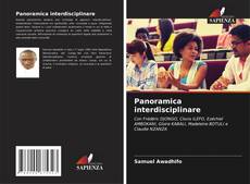 Panoramica interdisciplinare kitap kapağı
