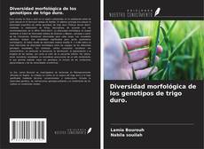 Borítókép a  Diversidad morfológica de los genotipos de trigo duro. - hoz