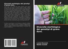 Bookcover of Diversità morfologica dei genotipi di grano duro.