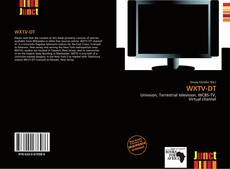 Bookcover of WXTV-DT