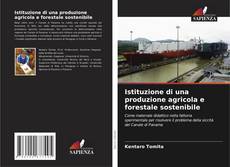 Bookcover of Istituzione di una produzione agricola e forestale sostenibile