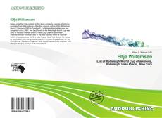 Bookcover of Elfje Willemsen