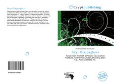 Bookcover of Seyi Olajengbesi