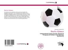 Capa do livro de Derlis Gómez 