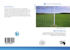 Bookcover of David Mateos