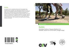 Capa do livro de Koldo 
