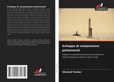 Bookcover of Sviluppo di composizioni poliminerali