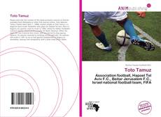 Couverture de Toto Tamuz