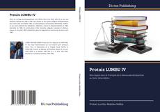 Protais LUMBU IV kitap kapağı