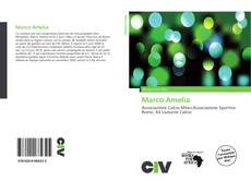 Marco Amelia的封面
