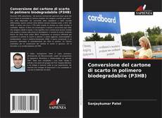 Borítókép a  Conversione del cartone di scarto in polimero biodegradabile (P3HB) - hoz