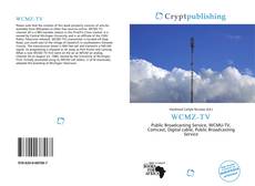 Bookcover of WCMZ-TV